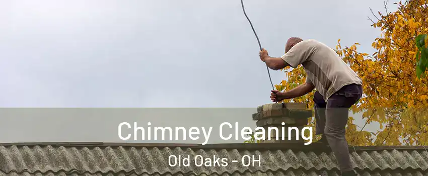 Chimney Cleaning Old Oaks - OH