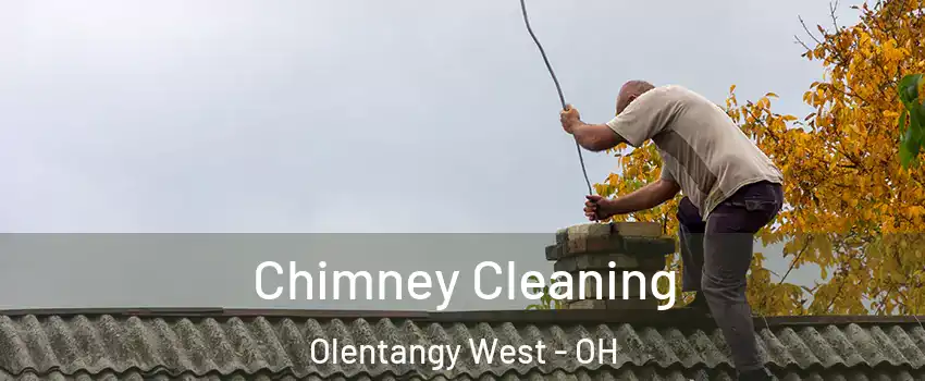 Chimney Cleaning Olentangy West - OH