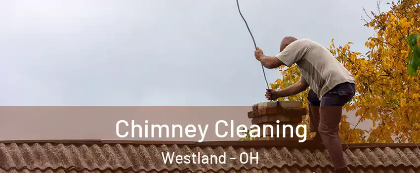 Chimney Cleaning Westland - OH