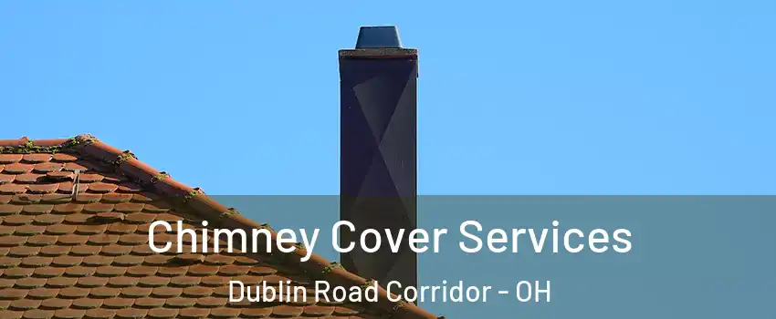 Chimney Cover Services Dublin Road Corridor - OH