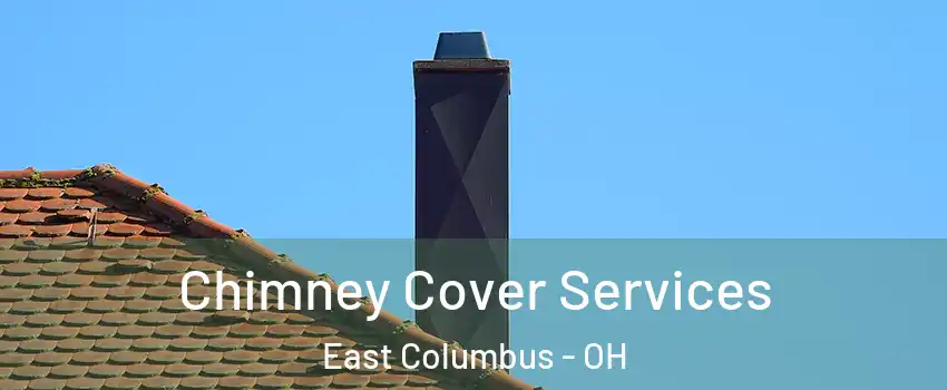 Chimney Cover Services East Columbus - OH