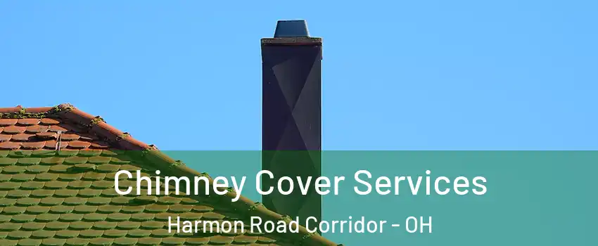 Chimney Cover Services Harmon Road Corridor - OH