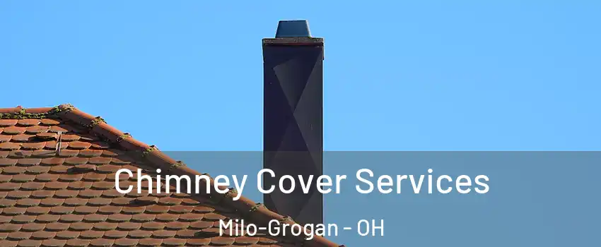 Chimney Cover Services Milo-Grogan - OH