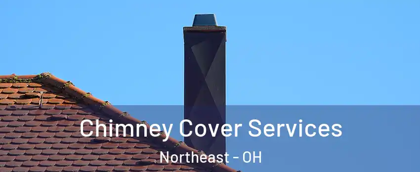 Chimney Cover Services Northeast - OH