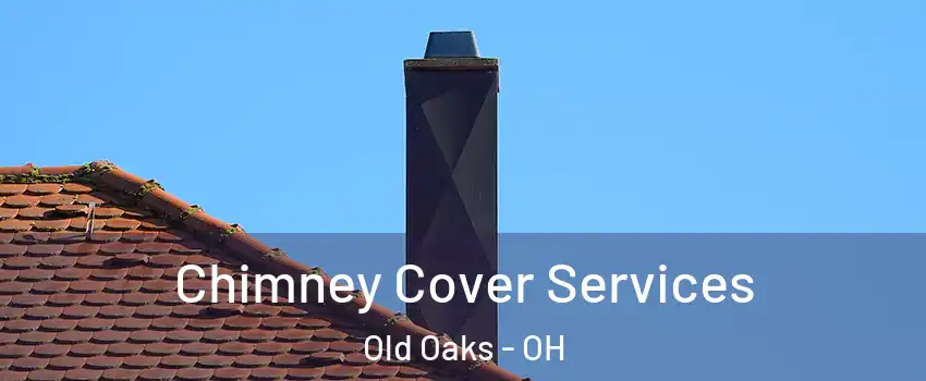 Chimney Cover Services Old Oaks - OH