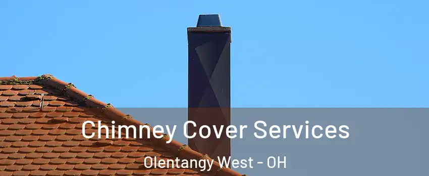 Chimney Cover Services Olentangy West - OH