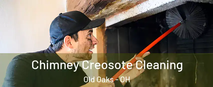 Chimney Creosote Cleaning Old Oaks - OH