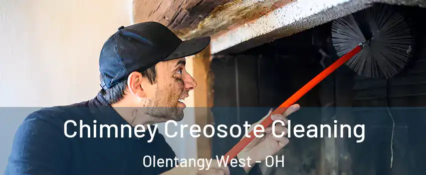 Chimney Creosote Cleaning Olentangy West - OH