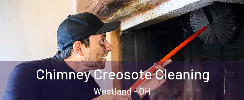 Chimney Creosote Cleaning Westland - OH