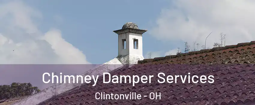 Chimney Damper Services Clintonville - OH