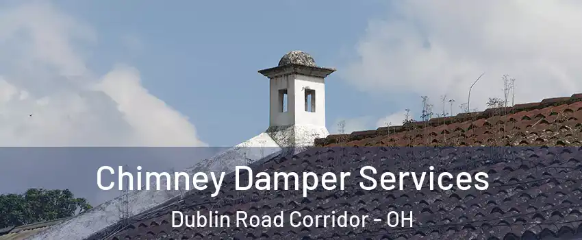 Chimney Damper Services Dublin Road Corridor - OH