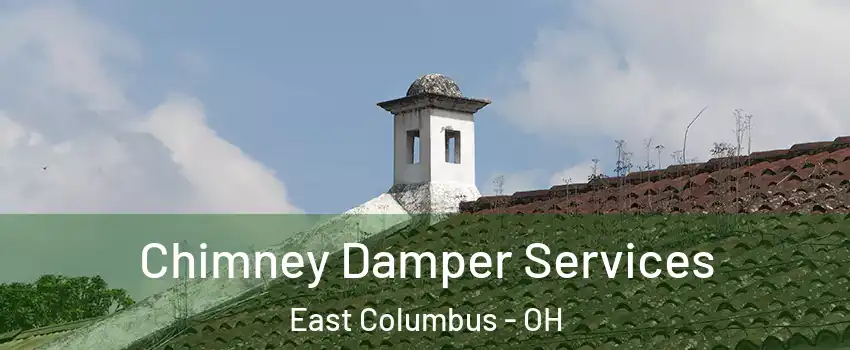 Chimney Damper Services East Columbus - OH