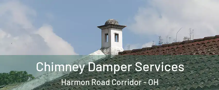 Chimney Damper Services Harmon Road Corridor - OH