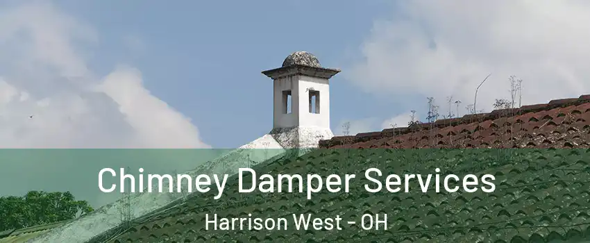 Chimney Damper Services Harrison West - OH