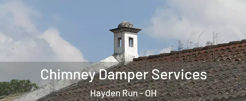 Chimney Damper Services Hayden Run - OH