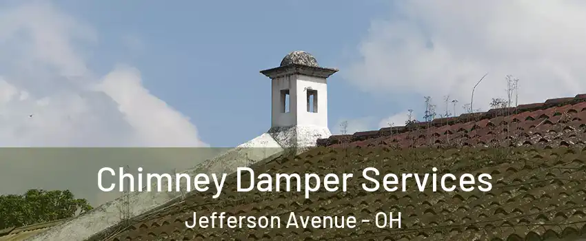 Chimney Damper Services Jefferson Avenue - OH