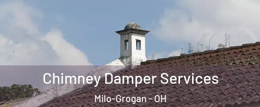 Chimney Damper Services Milo-Grogan - OH