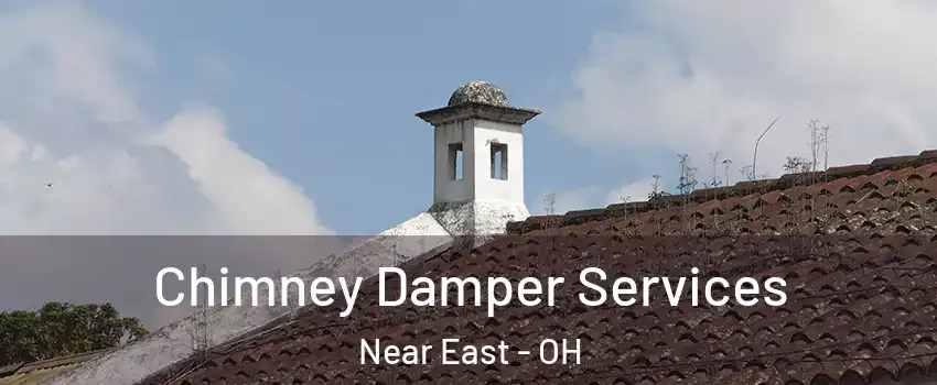 Chimney Damper Services Near East - OH