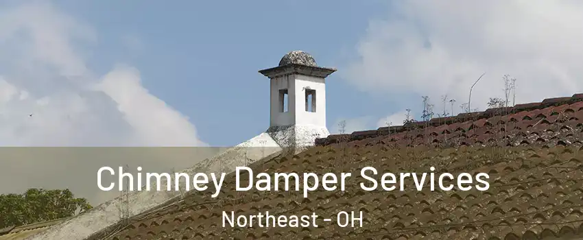 Chimney Damper Services Northeast - OH