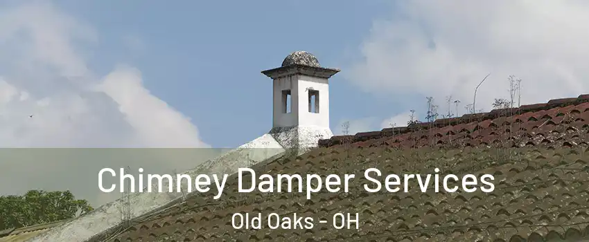 Chimney Damper Services Old Oaks - OH