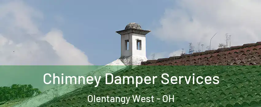 Chimney Damper Services Olentangy West - OH