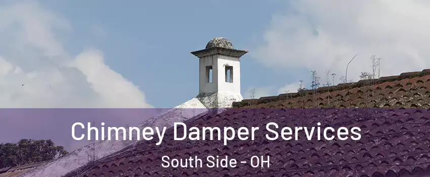 Chimney Damper Services South Side - OH