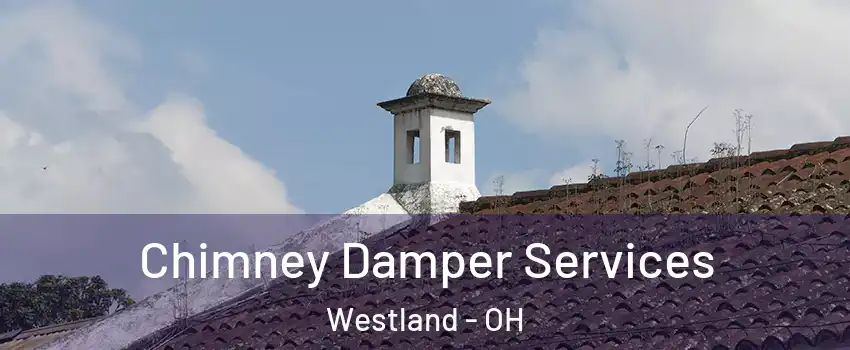 Chimney Damper Services Westland - OH