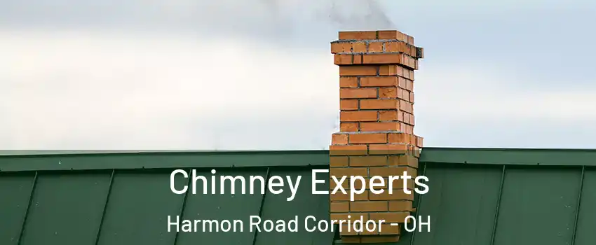 Chimney Experts Harmon Road Corridor - OH