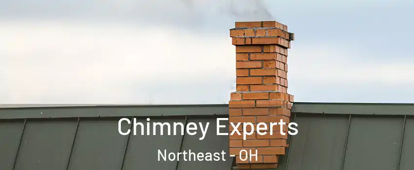 Chimney Experts Northeast - OH