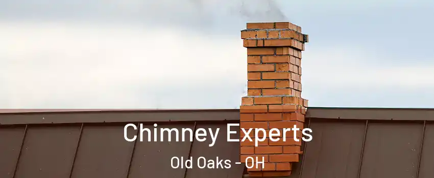 Chimney Experts Old Oaks - OH