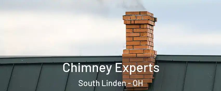 Chimney Experts South Linden - OH