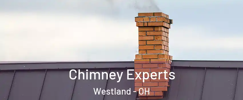 Chimney Experts Westland - OH