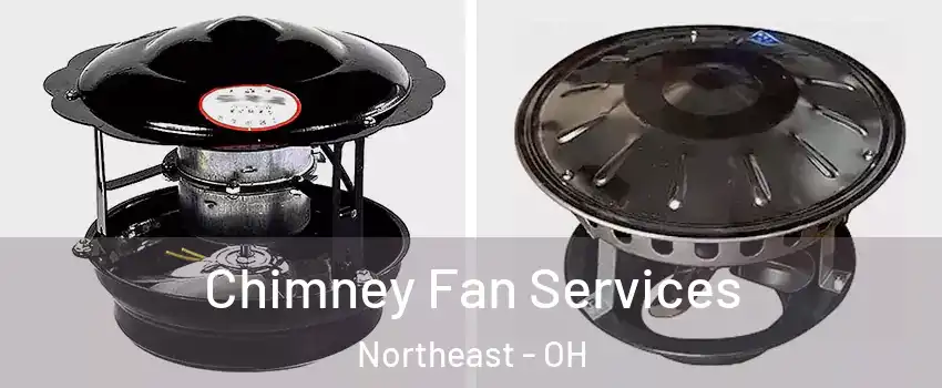 Chimney Fan Services Northeast - OH