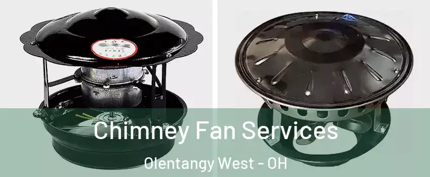 Chimney Fan Services Olentangy West - OH