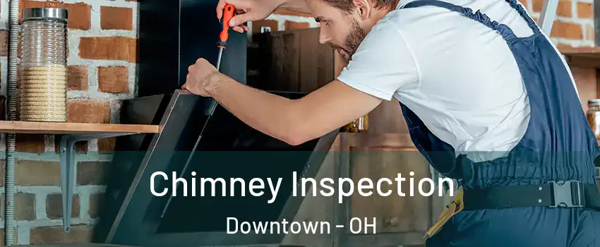 Chimney Inspection Downtown - OH