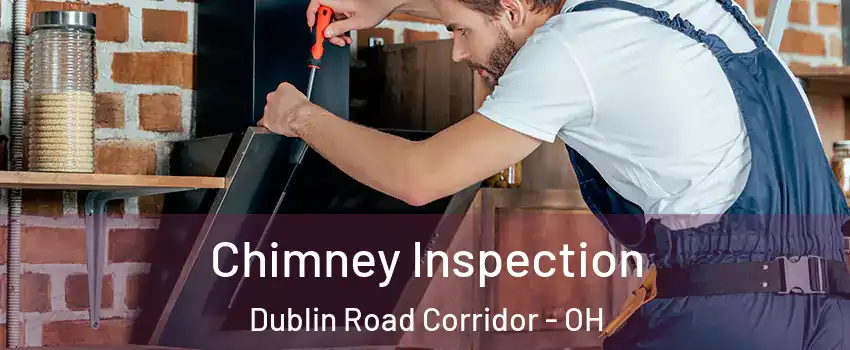 Chimney Inspection Dublin Road Corridor - OH