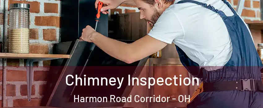 Chimney Inspection Harmon Road Corridor - OH