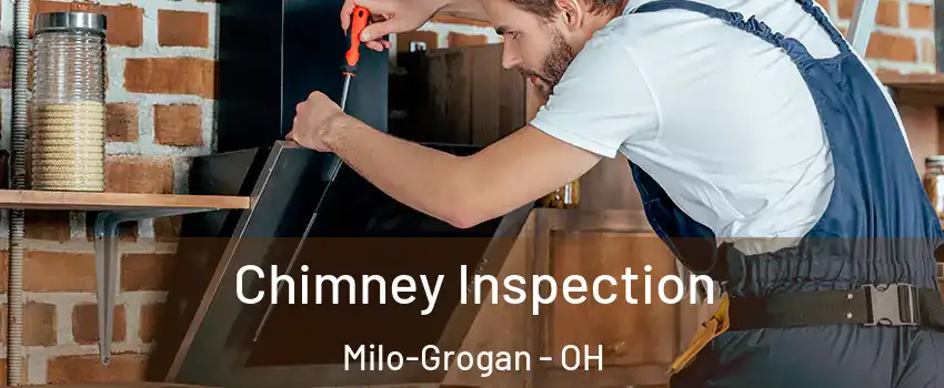 Chimney Inspection Milo-Grogan - OH