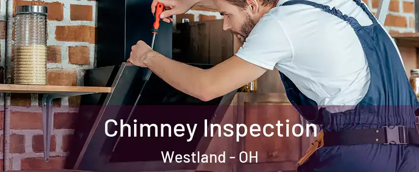 Chimney Inspection Westland - OH