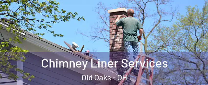 Chimney Liner Services Old Oaks - OH