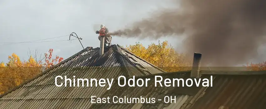 Chimney Odor Removal East Columbus - OH