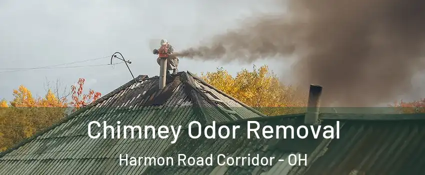 Chimney Odor Removal Harmon Road Corridor - OH