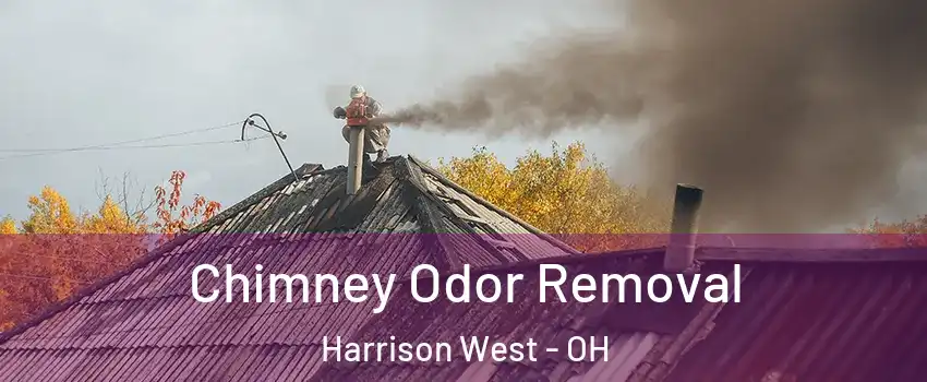 Chimney Odor Removal Harrison West - OH