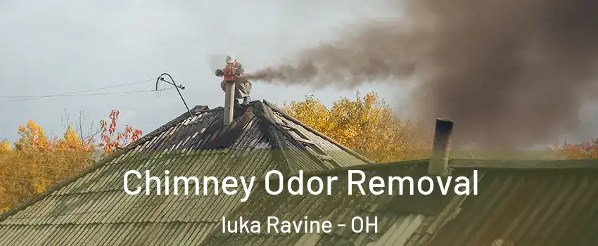 Chimney Odor Removal Iuka Ravine - OH