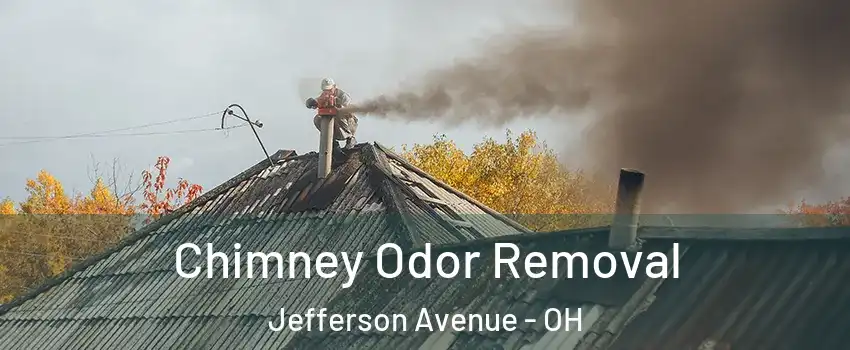 Chimney Odor Removal Jefferson Avenue - OH