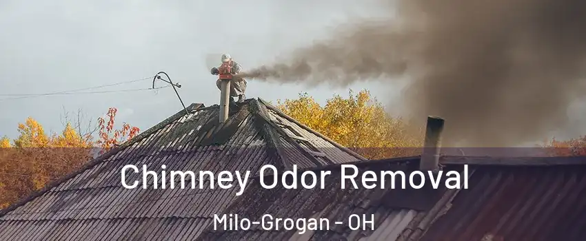 Chimney Odor Removal Milo-Grogan - OH