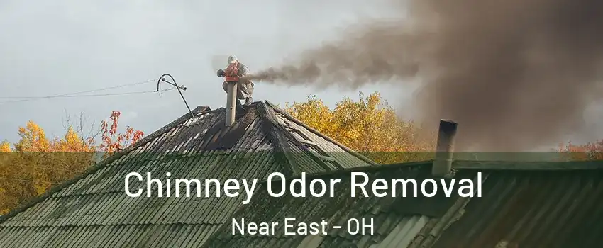 Chimney Odor Removal Near East - OH