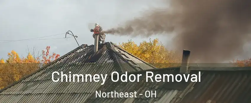 Chimney Odor Removal Northeast - OH