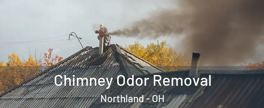 Chimney Odor Removal Northland - OH