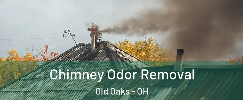 Chimney Odor Removal Old Oaks - OH